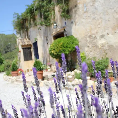 Masia Sumidors Bed & Breakfast